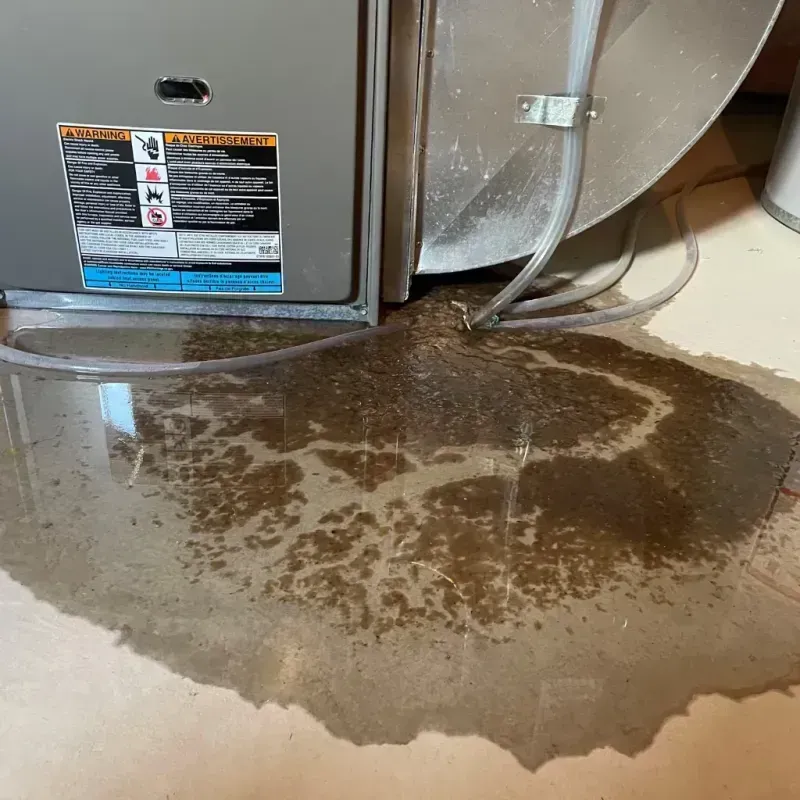 Appliance Leak Cleanup in Ashville, AL